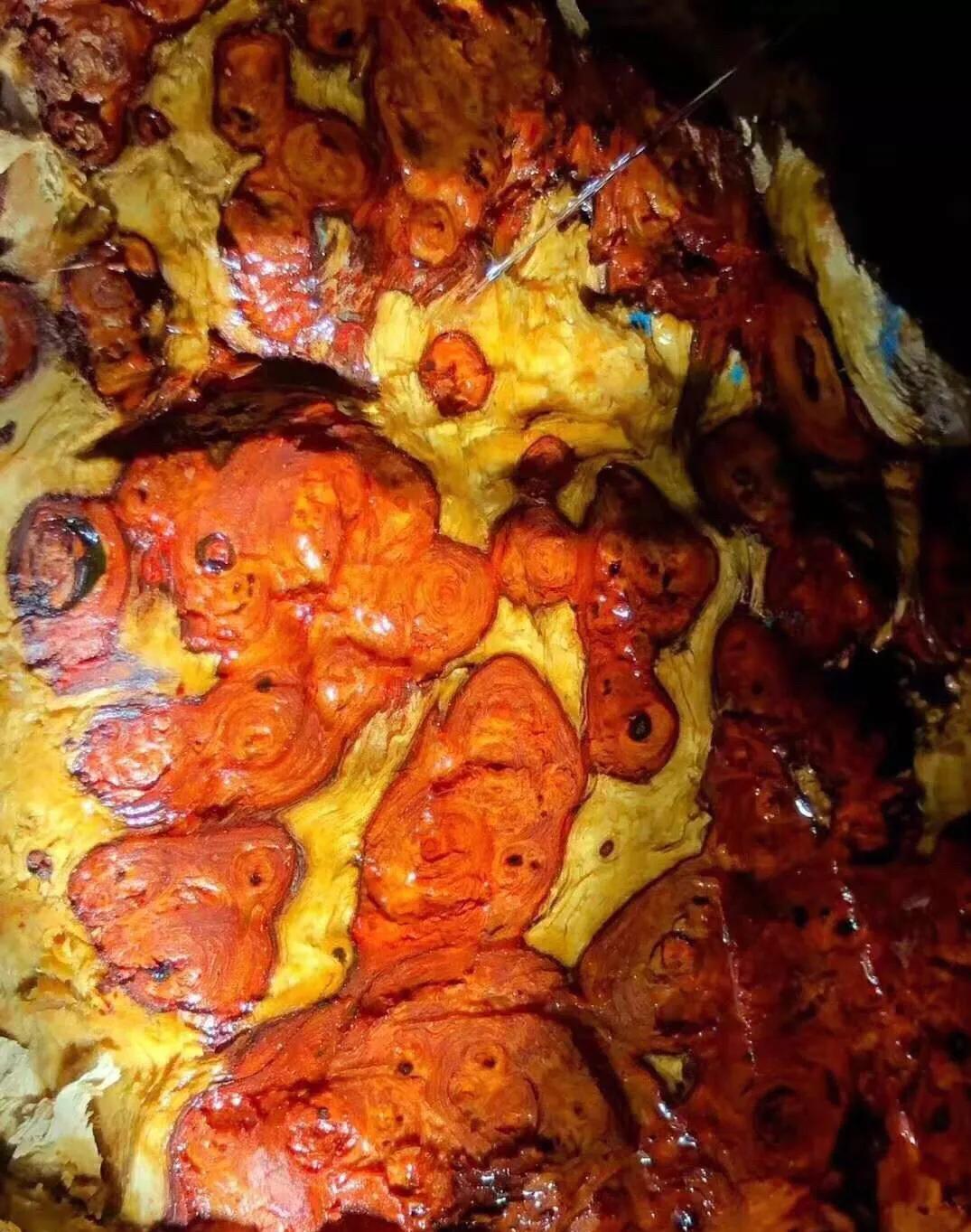 大叶紫檀是犀角紫檀吗,大叶紫檀是红木的一种吗