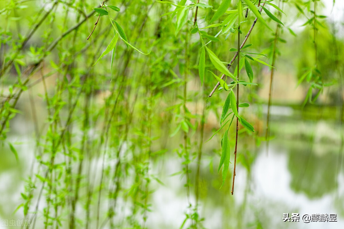 全屋定制板材环保级别,全屋定制板材怎么选