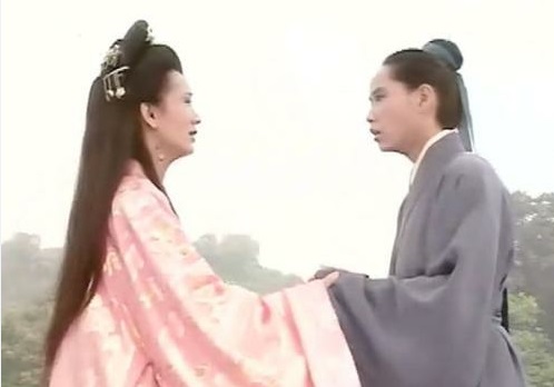 动物管理局的隐藏痛点,动物管理局详细分析