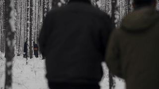 敖鲁古雅原始部落驯鹿喂草,敖鲁古雅驯鹿旅行