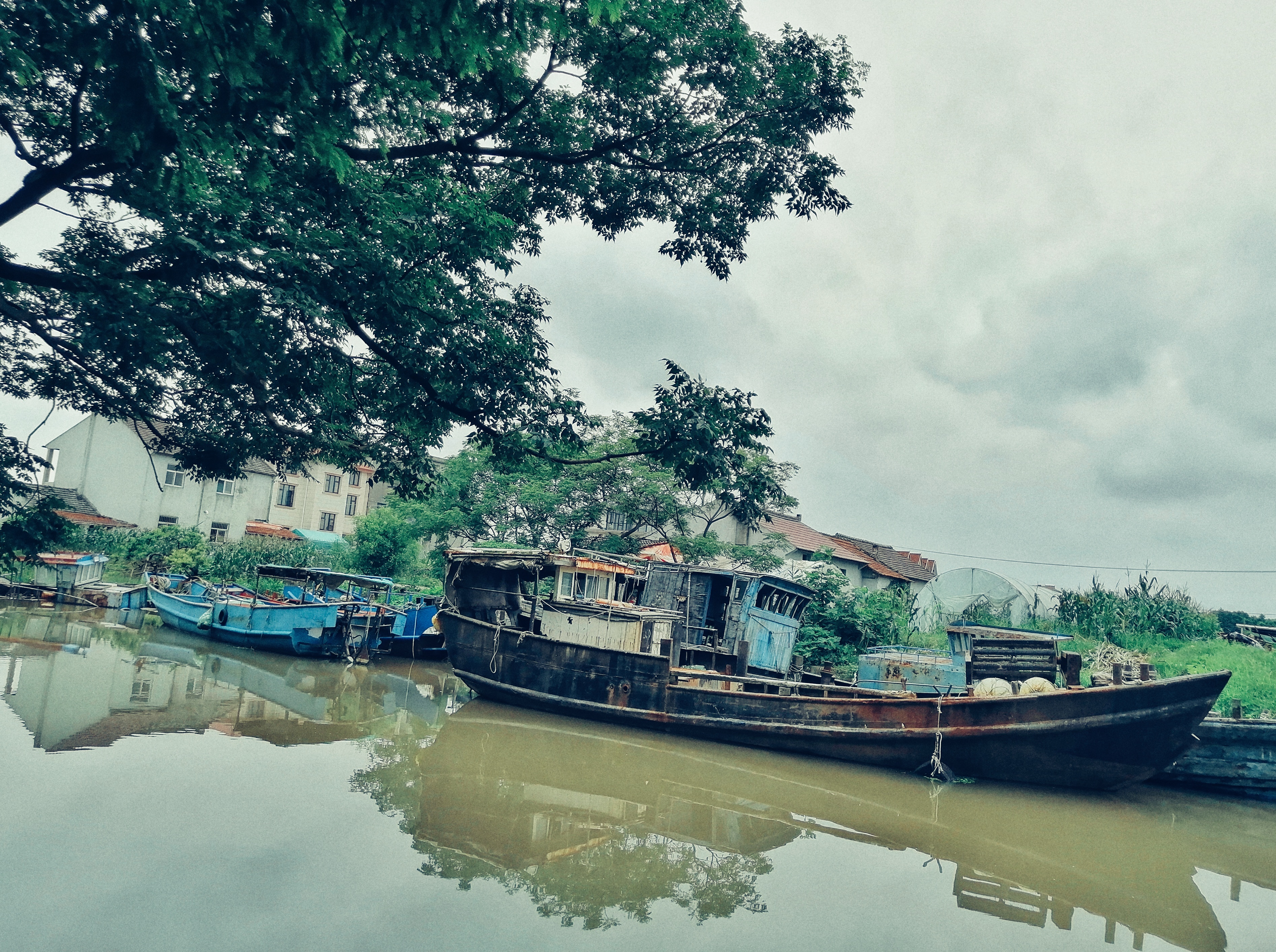 你真的了解宜宾吗,带你了解临港