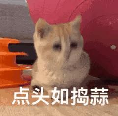 挖宝好物推荐,挖宝潮牌帆布包