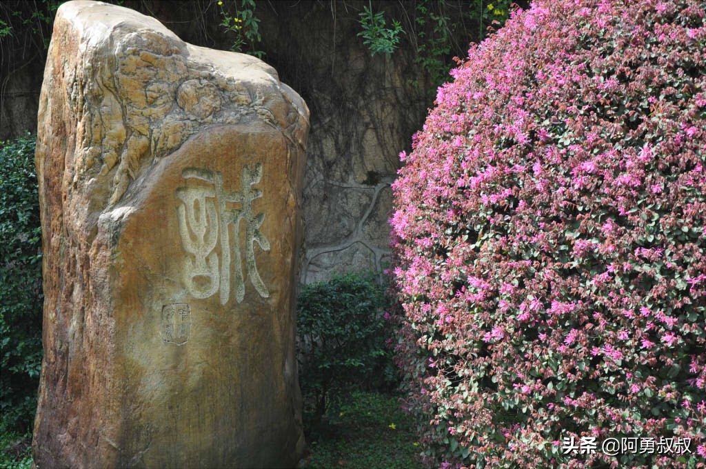 长沙市雅礼中学校联赏析,长沙市四大名校雅礼中学图片