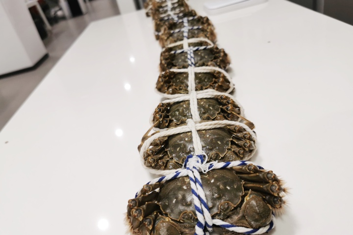 螃蟹死了怎么办最好,螃蟹怎么就死不了了