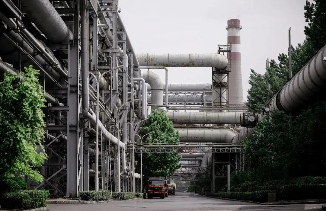 《复兴你好》第五十三期