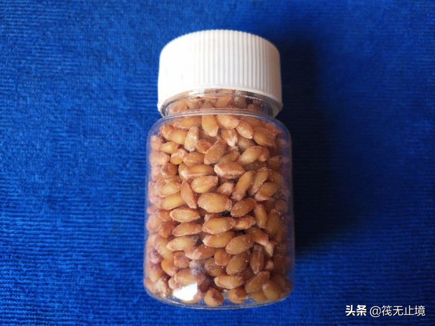 卡麦子过时了吗？解析小矶杆长子线的实际运用