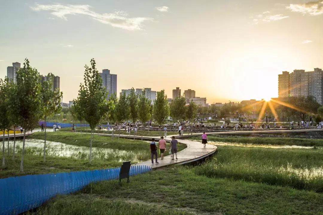 咸阳3号桥河堤路南岸湿地公园,咸阳太平镇孙家堡湿地公园