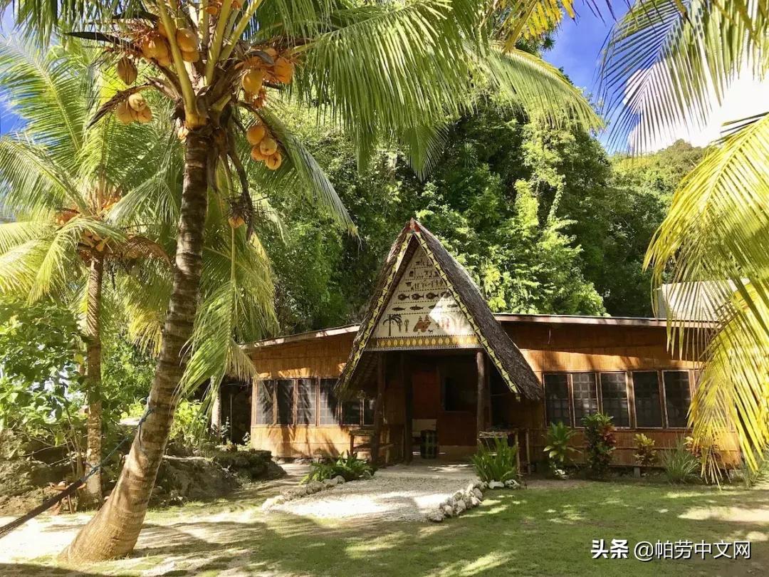 帕劳旅行水母湖,帕劳水母湖海岛