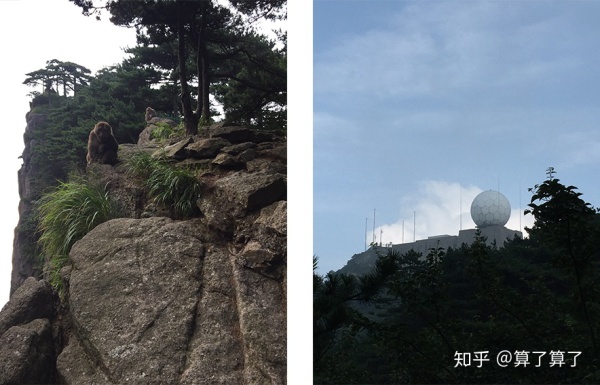 华山泰山黄山哪个高,恒山华山嵩山泰山衡山哪个山最高