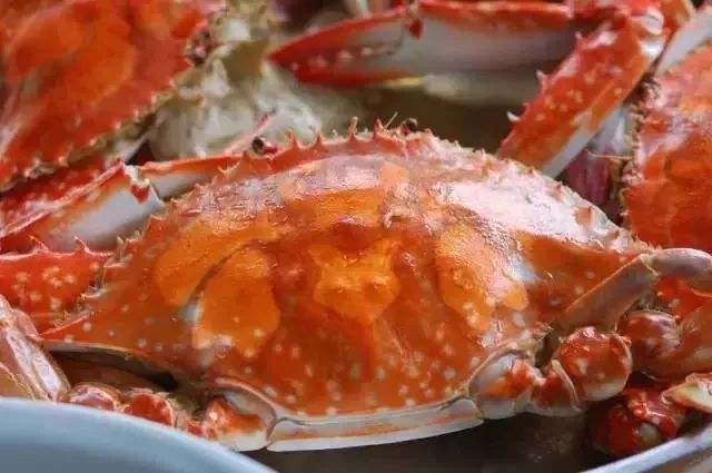 台山颐和温泉酒店私人泡池,台山颐和温泉酒店特价