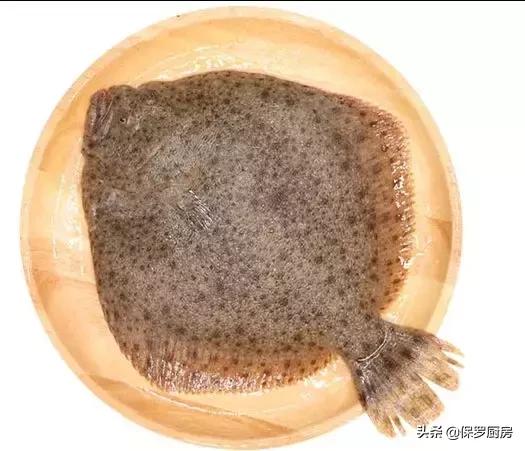 海鲜大荟萃,常见贝壳类海鲜