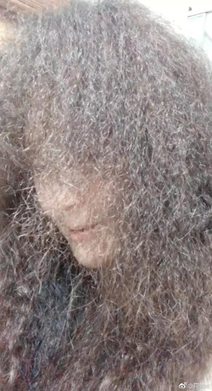 过年期间理发店安全吗,过年前千万别烫头