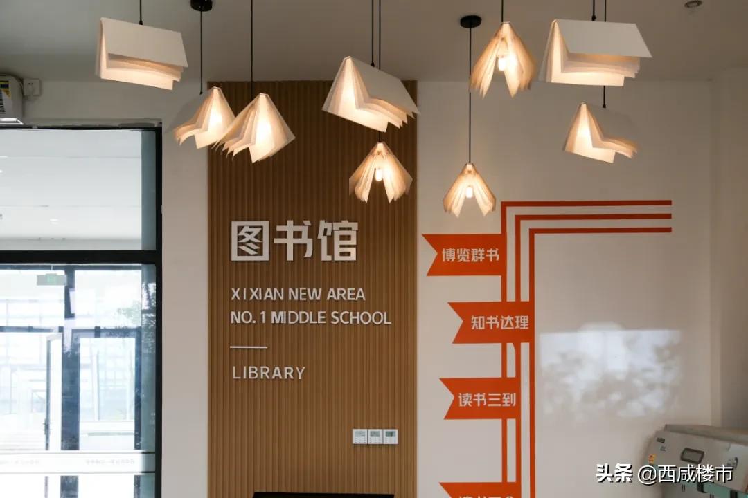 新增的231个学位是什么,5年内新增438万公办学位