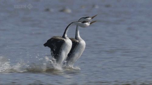 瑜伽私教一对一练多久出效果,瑜伽健身一对一私教有必要吗