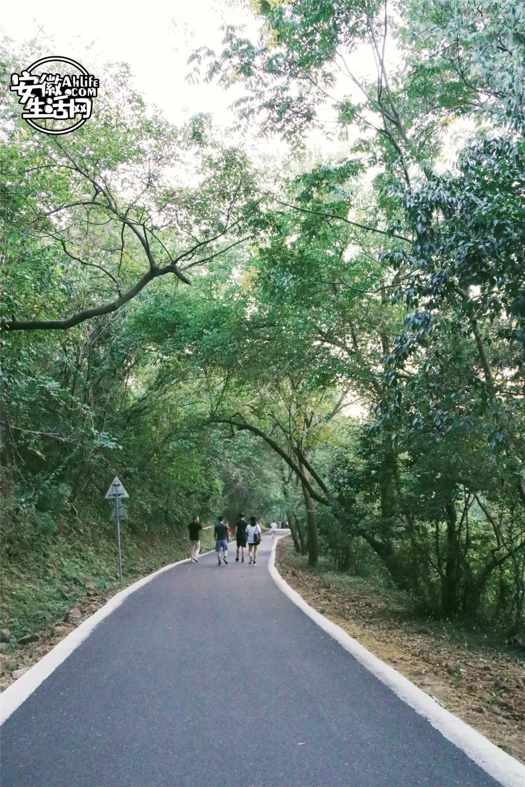 大蜀山,大蜀山爱情故事