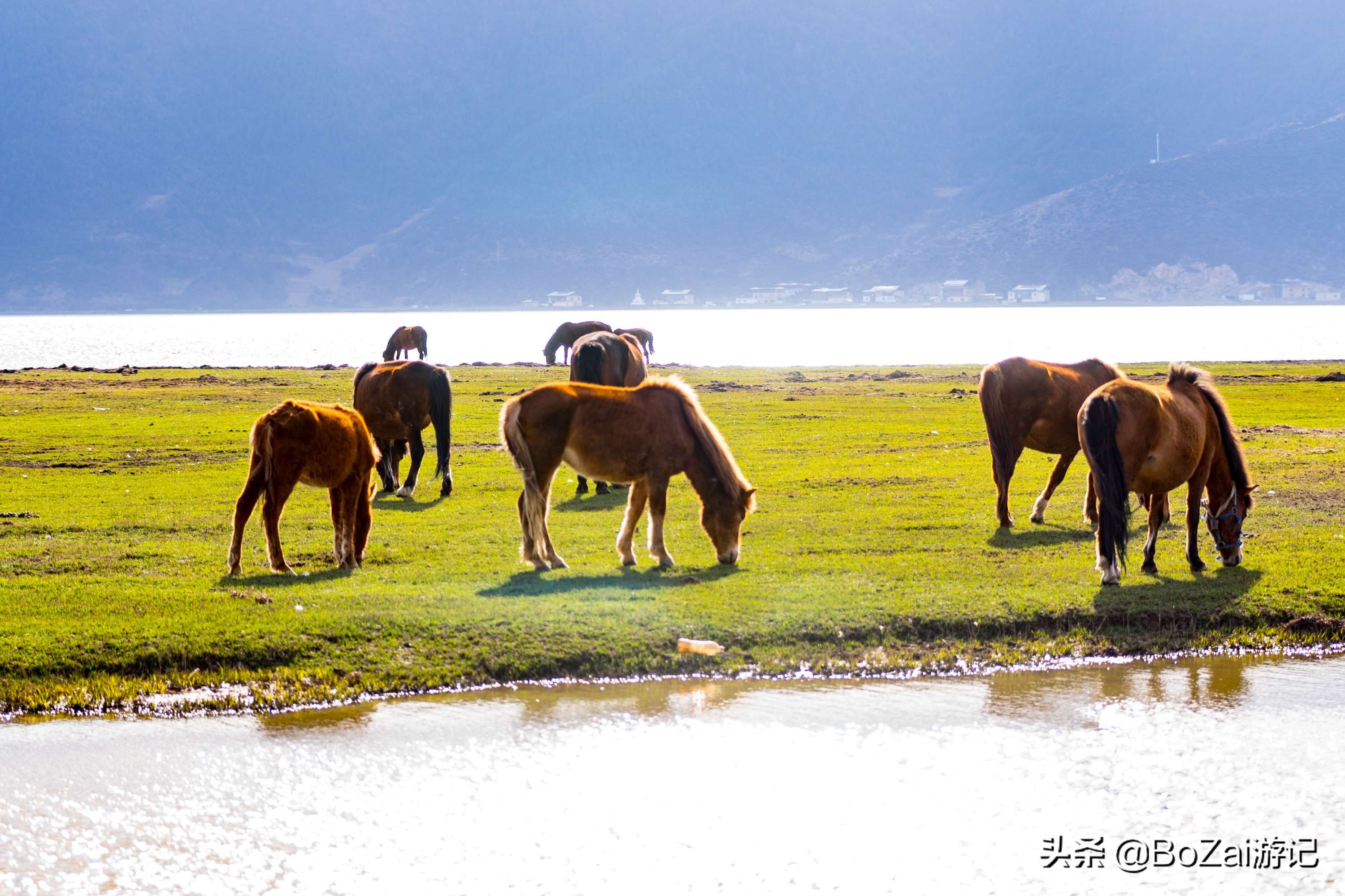 云南迪庆有哪些旅游景点,迪庆最值得去的景点有哪些地方