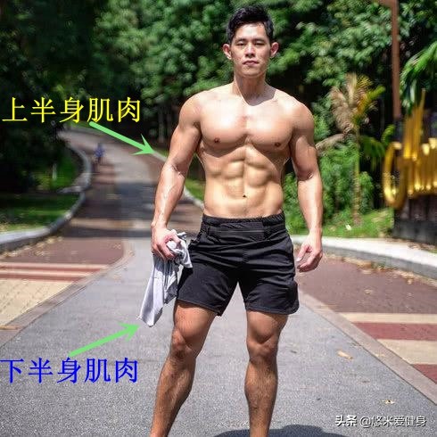 新手如何用一对哑铃练到全身,1对哑铃7个动作帮你训练全身肌肉