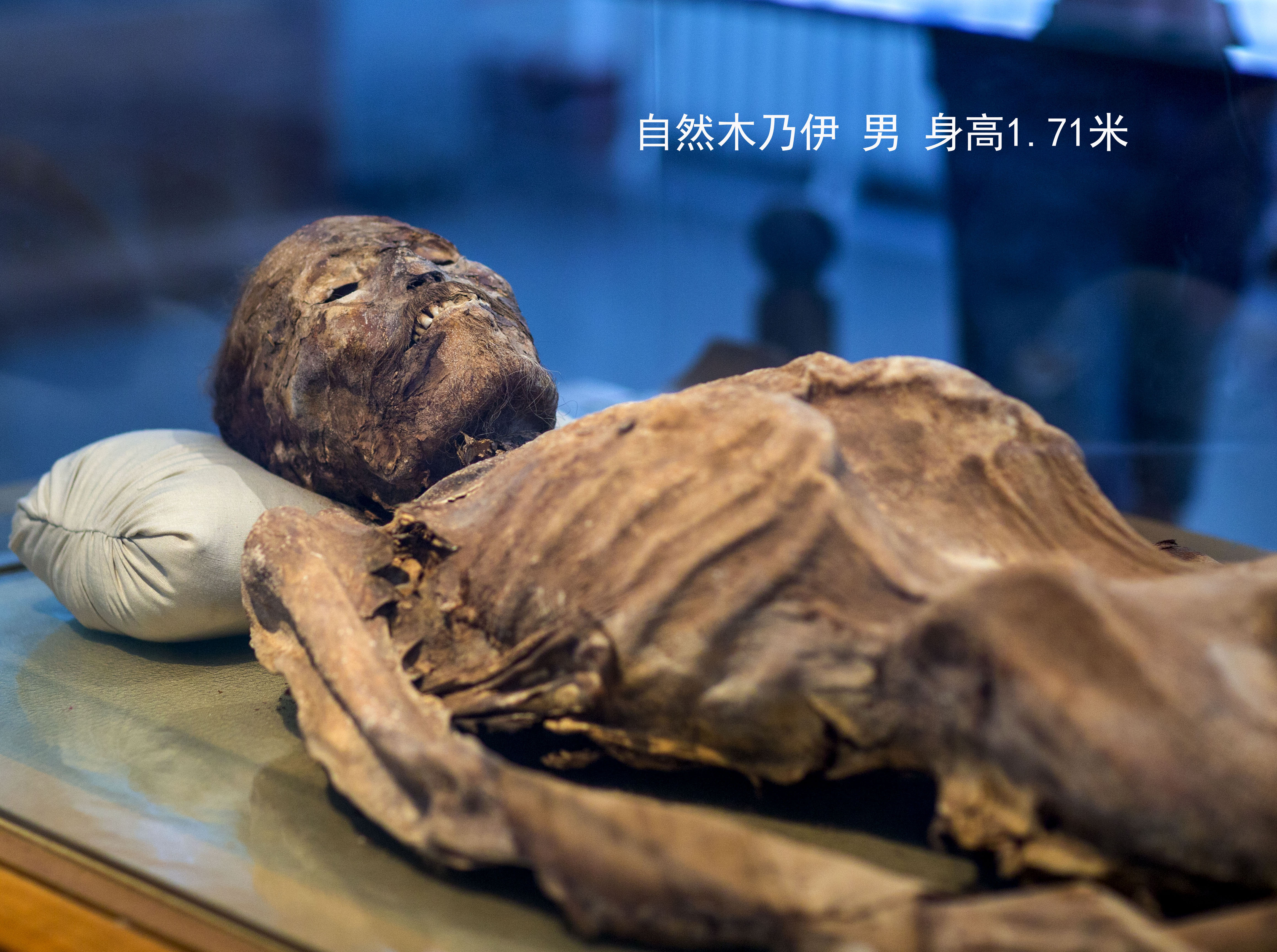 黄沙永恒,黄沙之下永恒的寂静