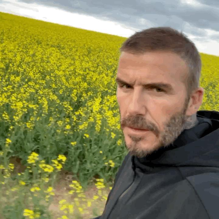 贝克汉姆哭泣的照片,贝克汉姆大哭视频