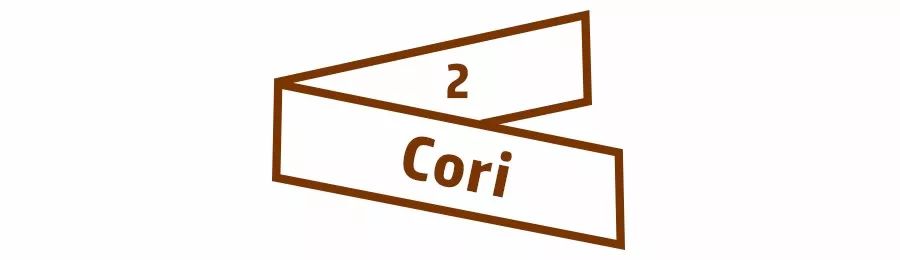 女生第一只轻奢包该买哪个牌子,第一只千元轻奢包怎么选