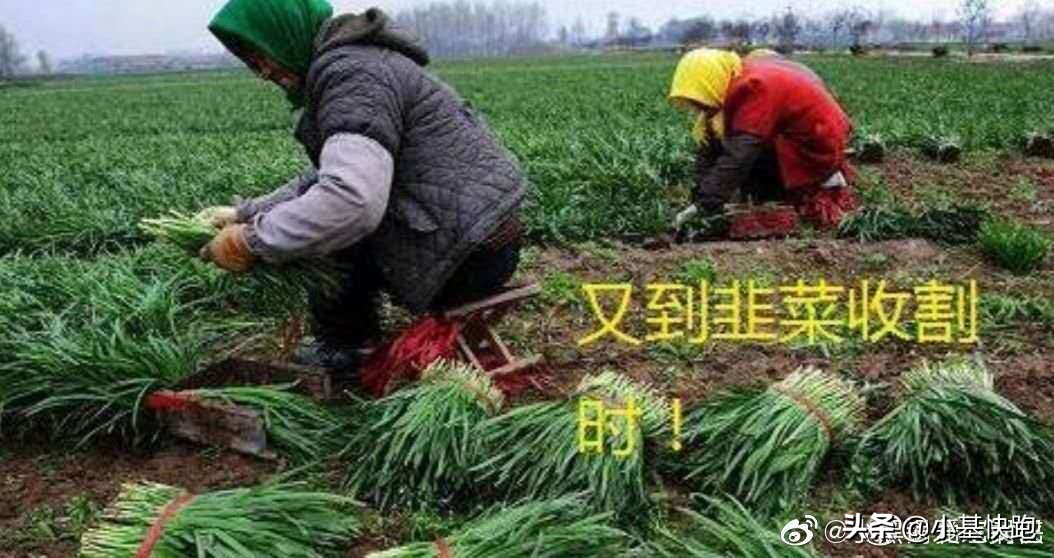 今天股市大跌搞笑段子视频,关于近期股市暴跌的段子