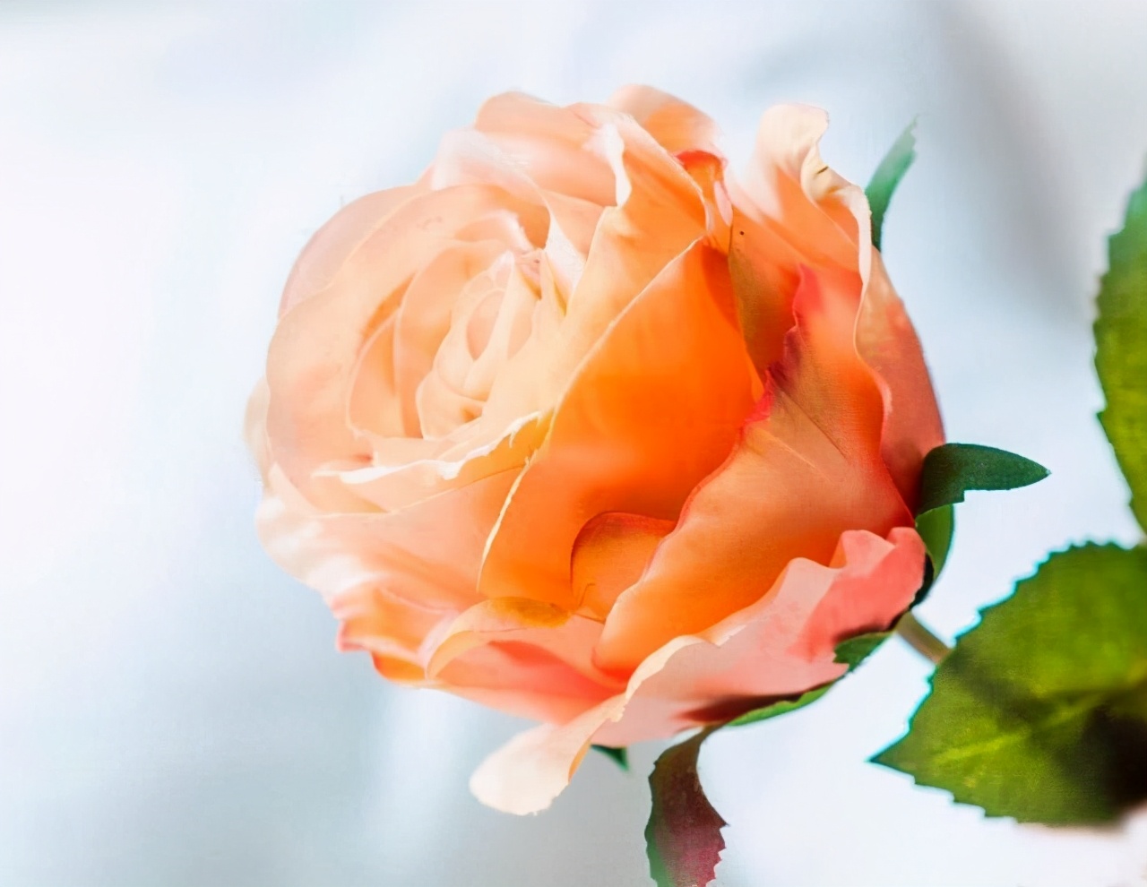 同居过女人心态是怎样的,不要对离过婚的女人有偏见