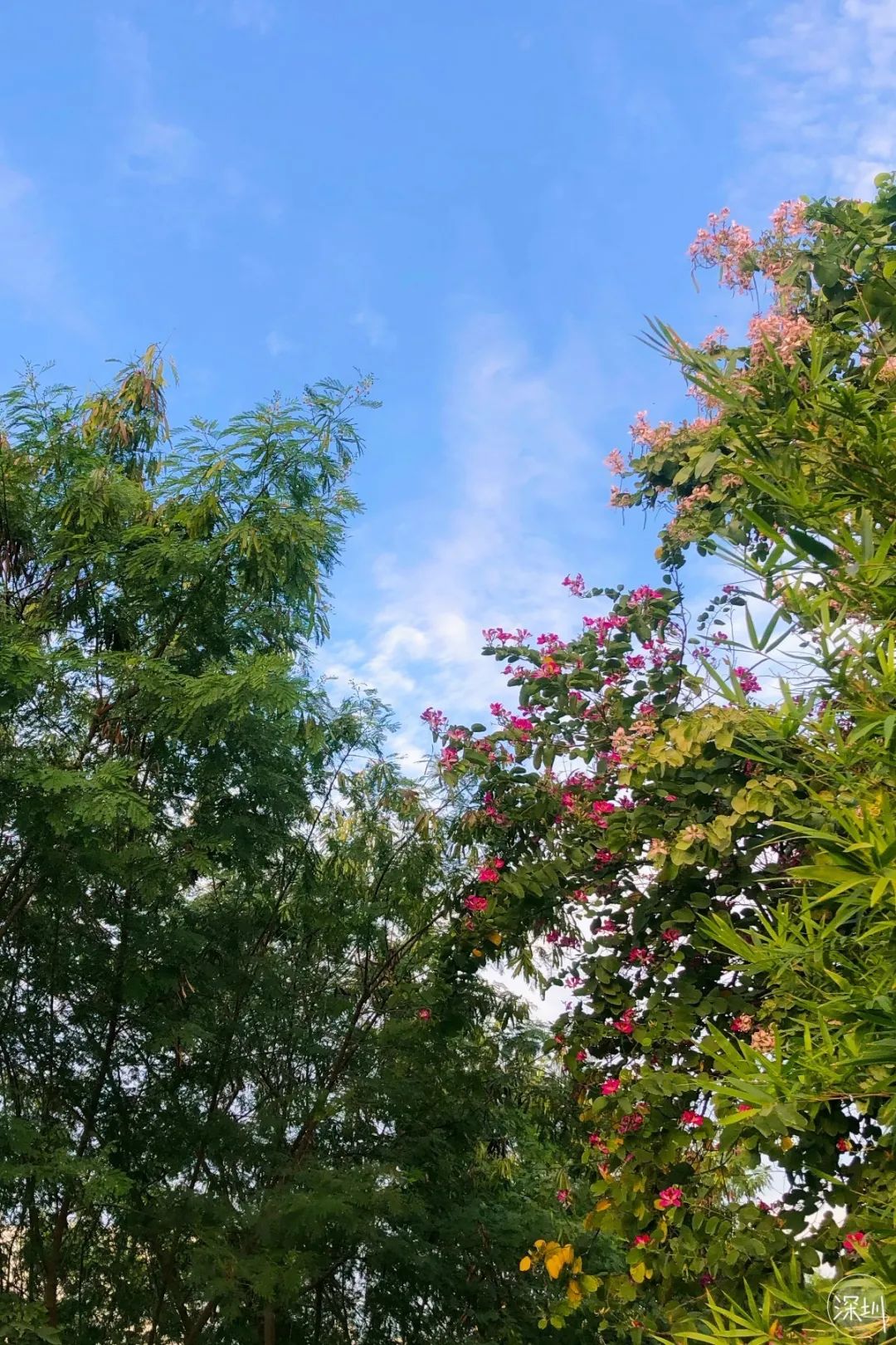 绂忔案鍦ㄥ疂瀹夌殑缁忔祹鍦颁綅,娣卞湷瀹濆畨绂忔案璐㈠瘜鎺掑悕