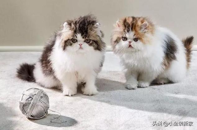 tiffany的家居系列,tiffany家居系列