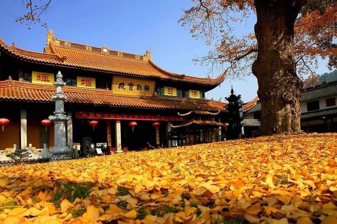 书藏古今港通天下,书藏古今港通天下央视