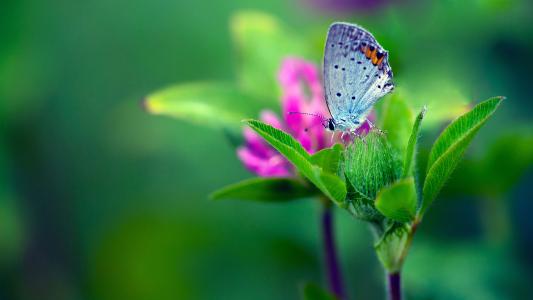 祝福自己生日的唯美句子发朋友圈,立冬的唯美句子朋友圈高质量句子
