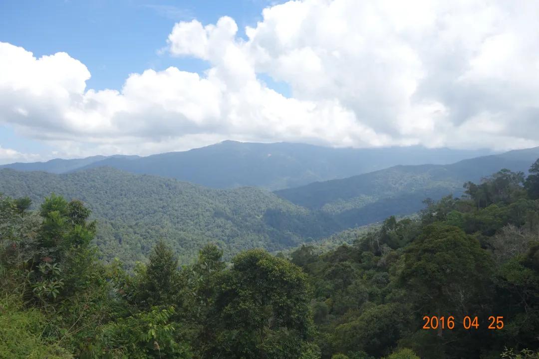 徒步云南虫谷,云南虫谷经典