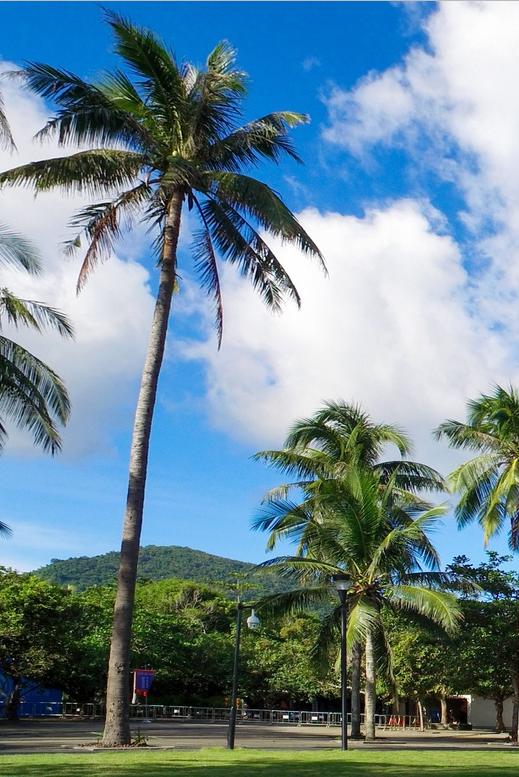 石梅湾拍照写真,石梅湾实景拍摄