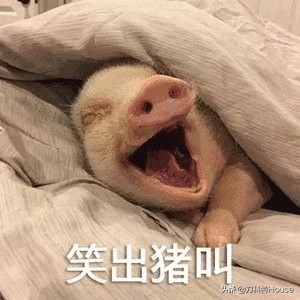 你们觉得医院看病贵吗,看病贵不报销