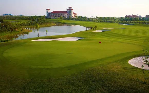 奥运冠军家乡合集,奥运会冠军家乡观看比赛