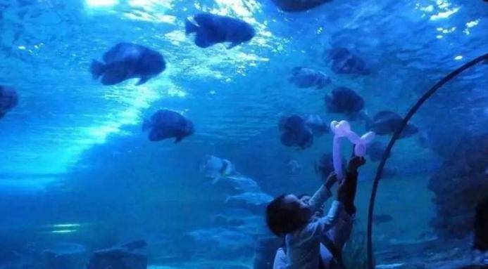 深圳小梅沙海洋世界特价,深圳小梅沙海洋世界团购票多少钱