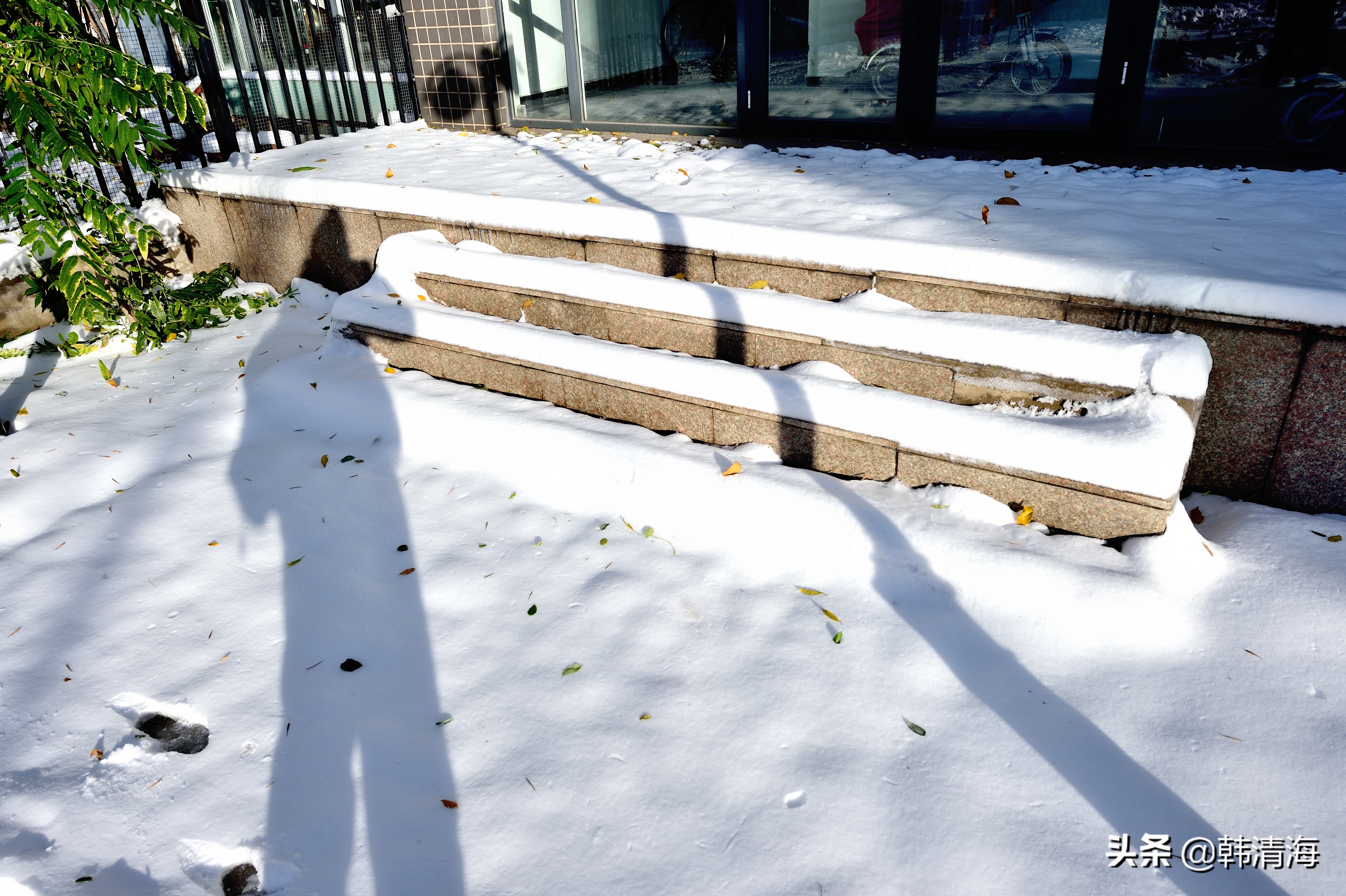 天津2022年雪景,天津第一场雪的美景
