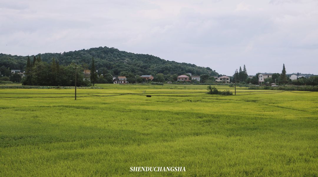 长沙旅游攻略必去的十大景点推荐,长沙旅游攻略必去十大景点免费