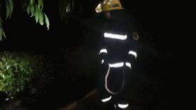 家附近蛇多怎么预防蛇不进屋,有蛇出没的地方怎么预防