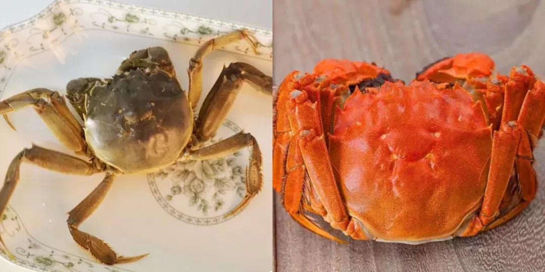 错过了六月的荷花别错过七月,错过了中秋千万别错过国庆