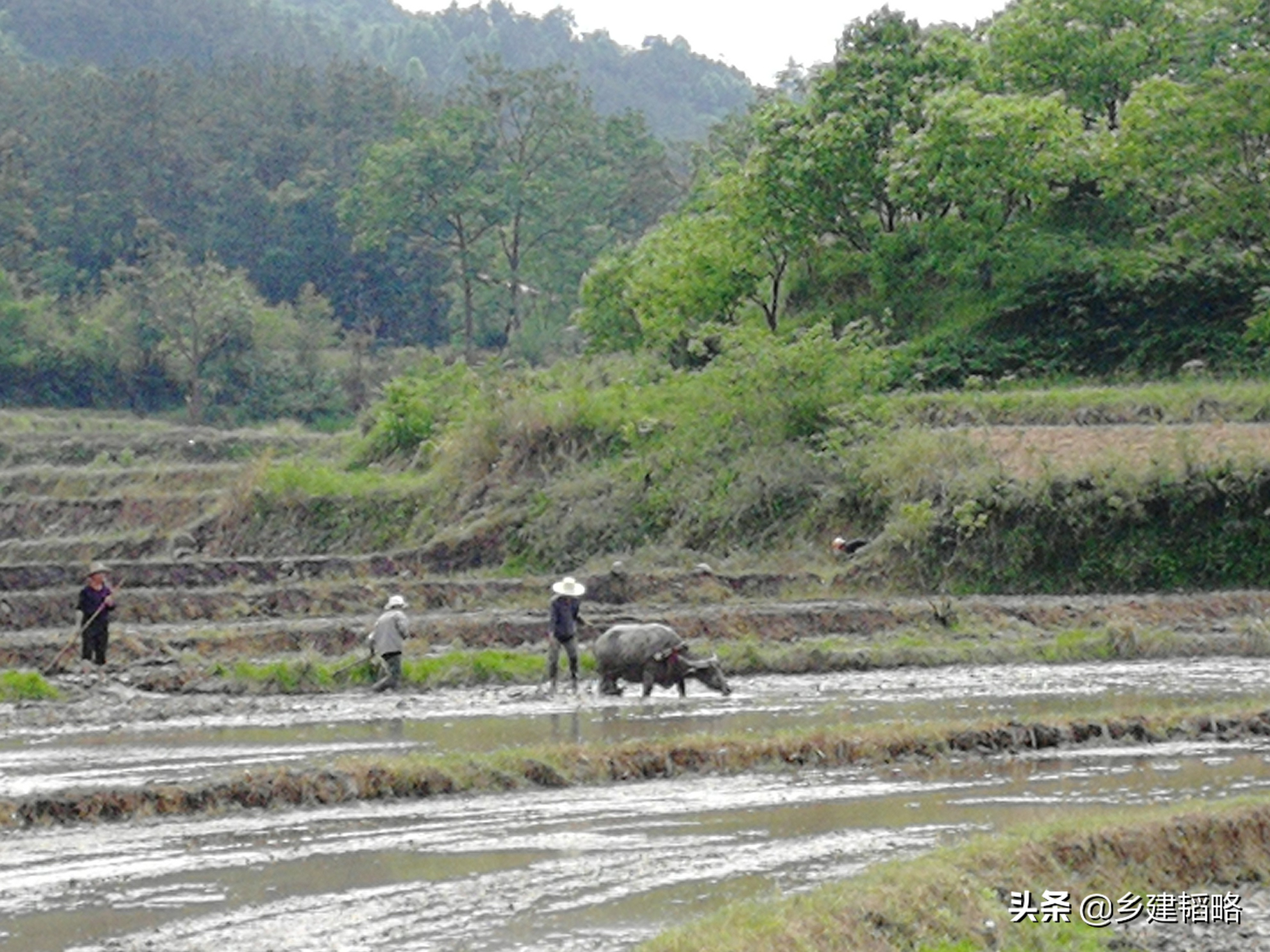 乡村农创,浙江农创助力乡村全面振兴