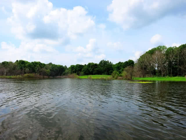 大草鱼钓不到怎么办,大草鱼难钓