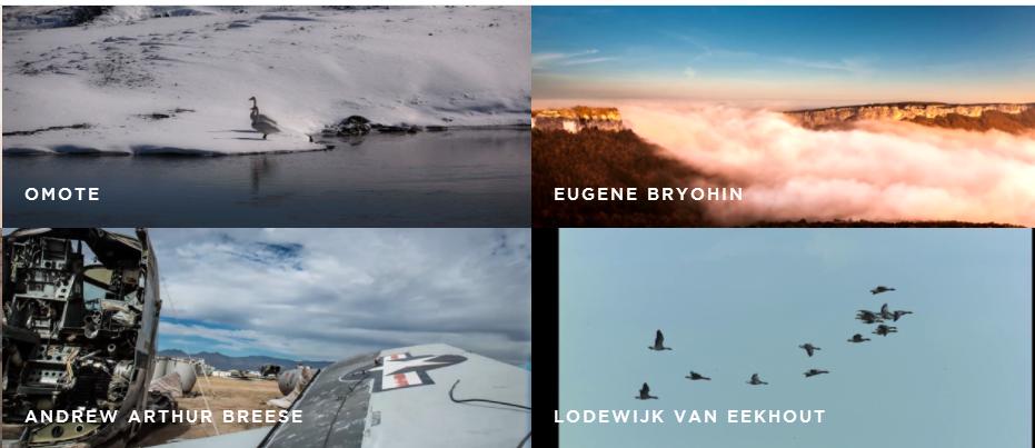 ps素材网站免费无水印,高清无水印免费图片网站