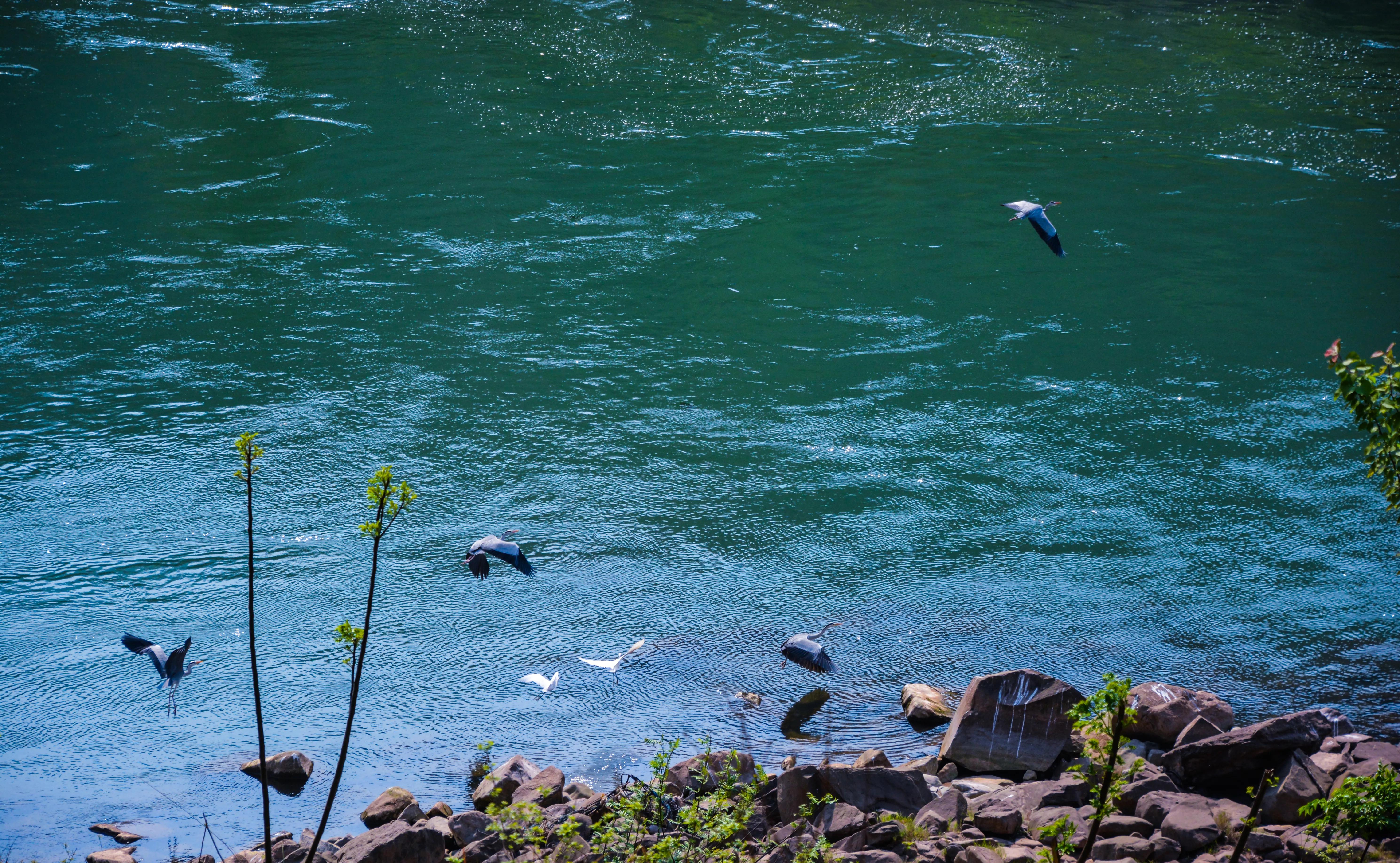 贵州大学1984级管科系同学欢聚毕节录