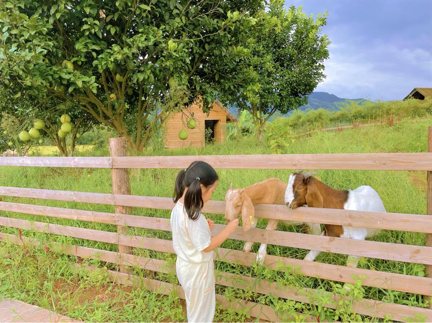 吉象多多·亲子年票！99元畅玩近40家高品质场馆+火爆景点