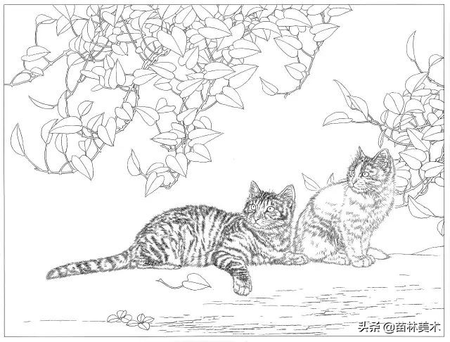 国画工笔猫白描,邢诚爱工笔画猫白描底稿