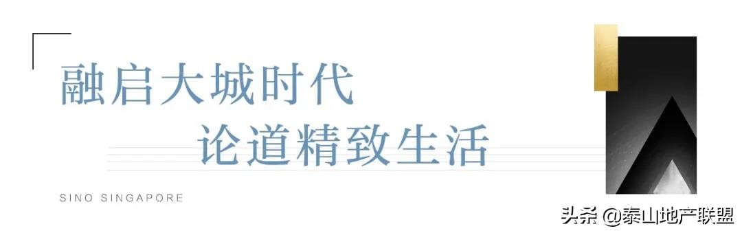 探究精致生活的理想演绎!济南中新国际城“对望世界的塔尖荣耀”