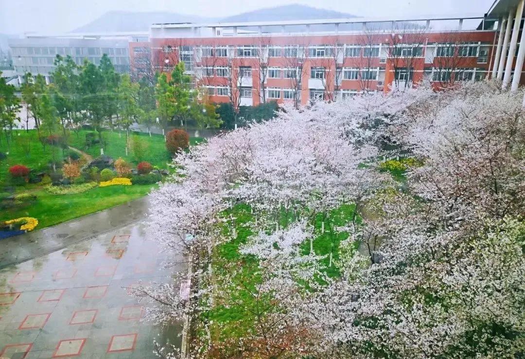 南京十所最好的中学,南京市最牛的中学