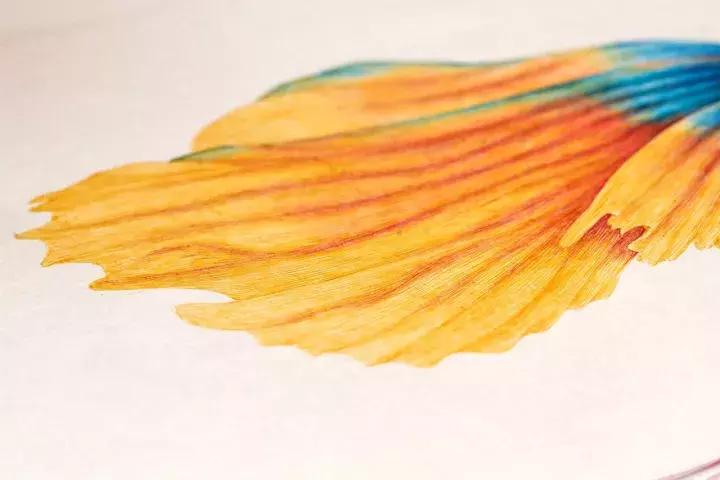 小央美钢笔画视频,极品五大钢笔画简直美爆