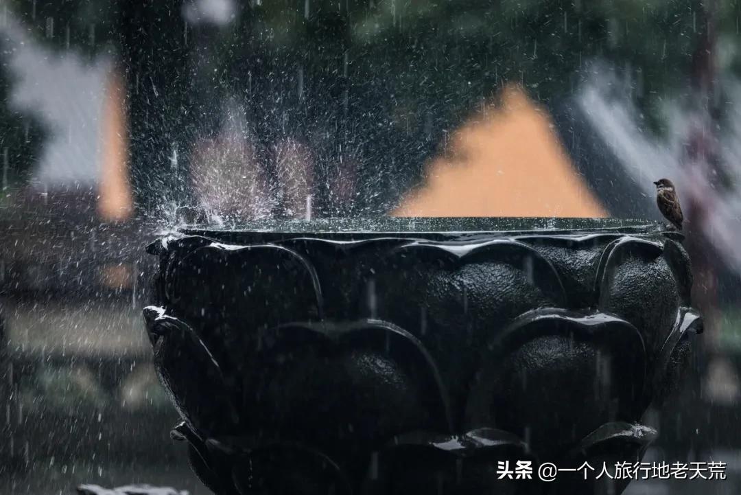 突然很想去看看,突然想去北京看看