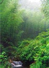 海南自驾西线旅游美食,海南环岛自驾游美食攻略详细行程